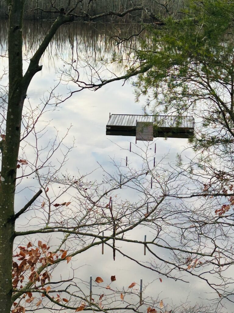a pagoda in the woods (MyCoast AI)