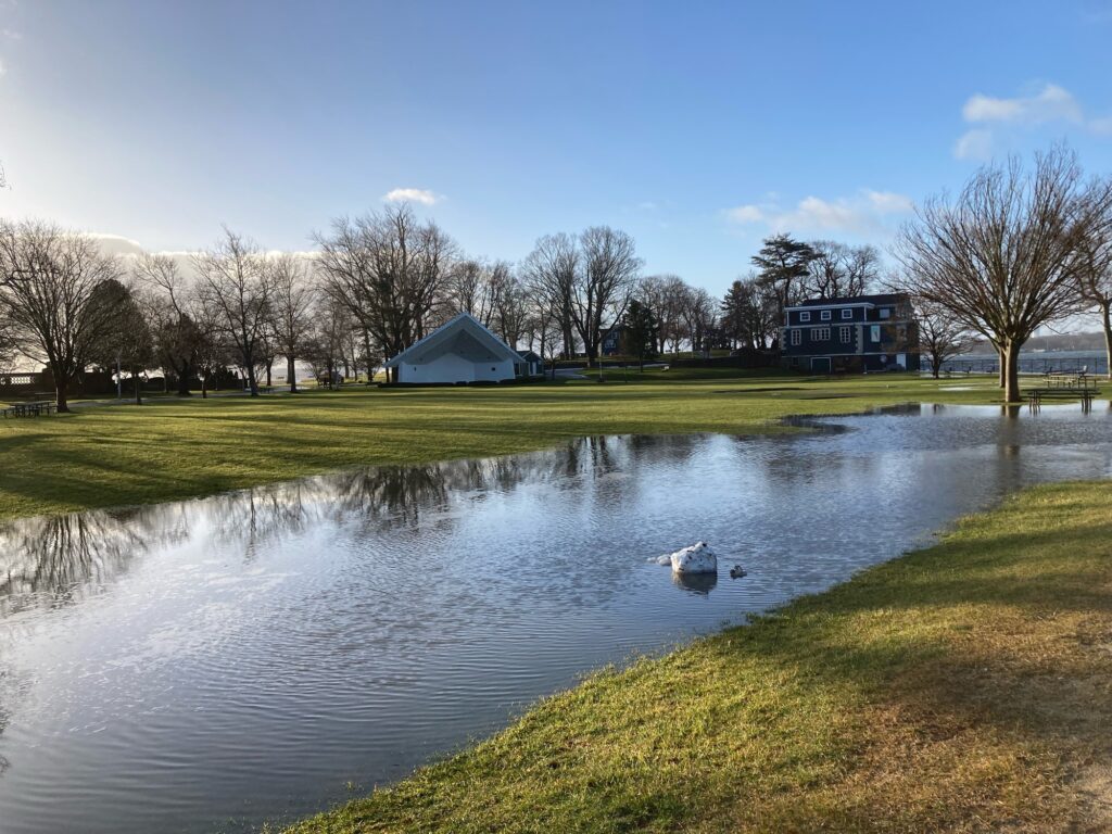 a pond with ducks in it (MyCoast AI)