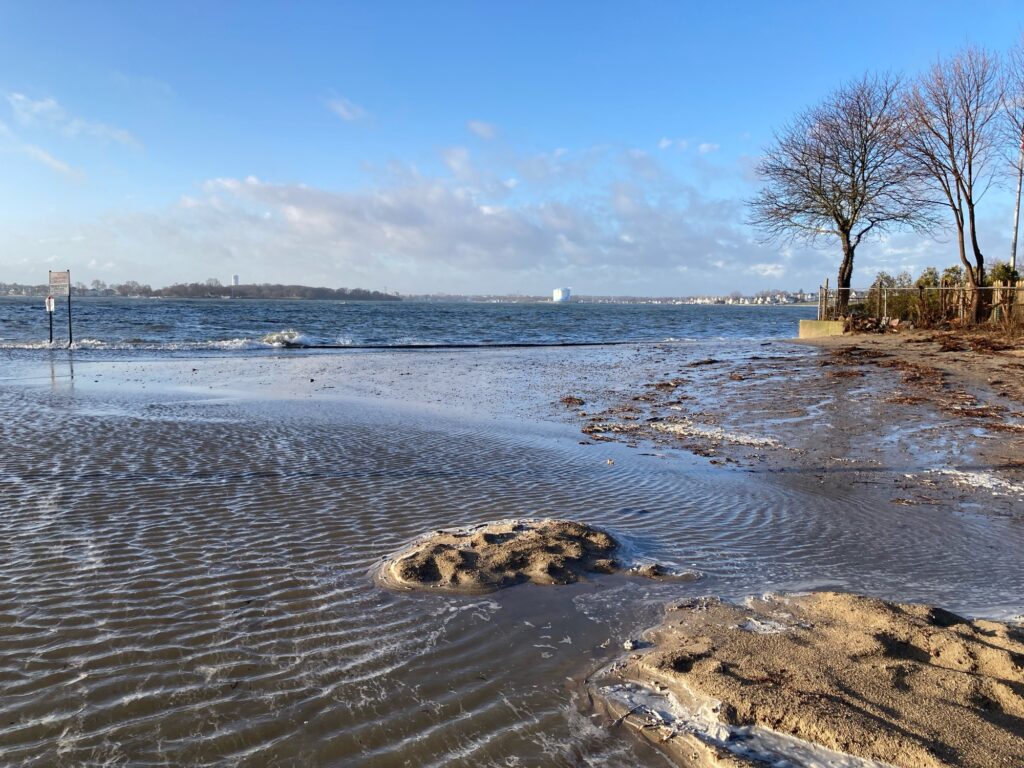 a body of water with a rock in it and trees around it (MyCoast AI)