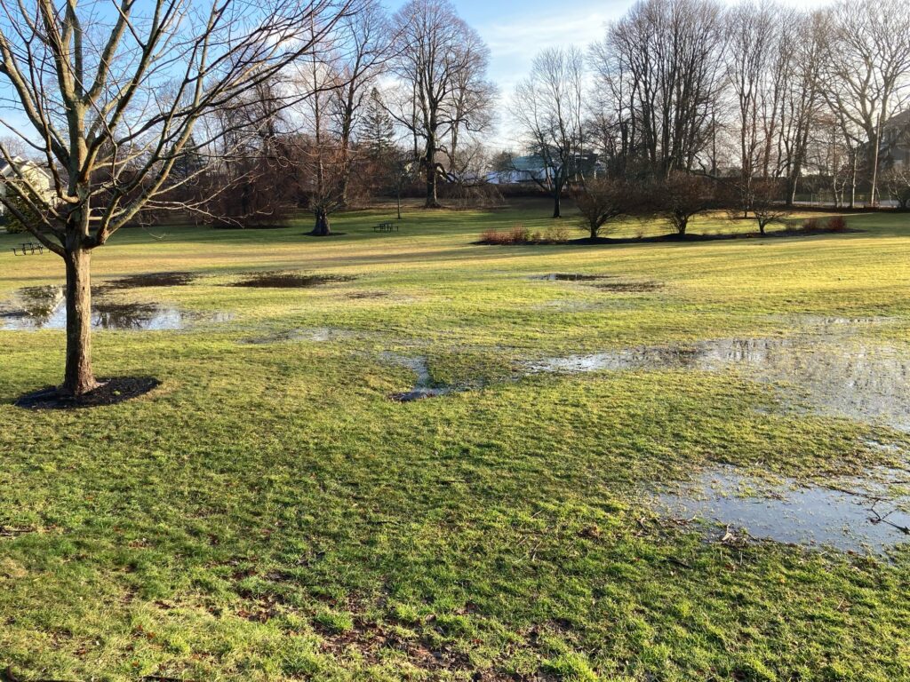 a grassy area with puddles and trees in the background (MyCoast AI)