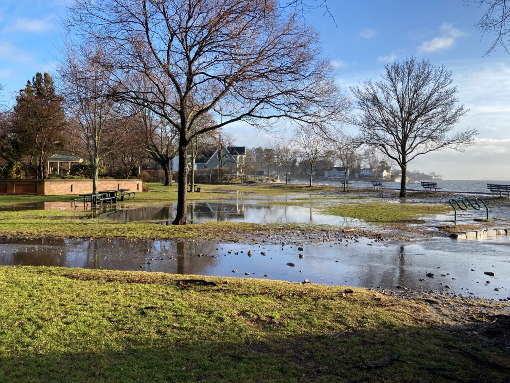 a pond with ducks in it (MyCoast AI)