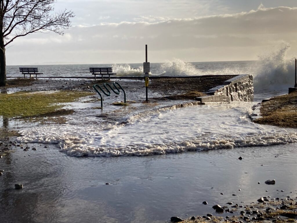 a bench on a beach (MyCoast AI)