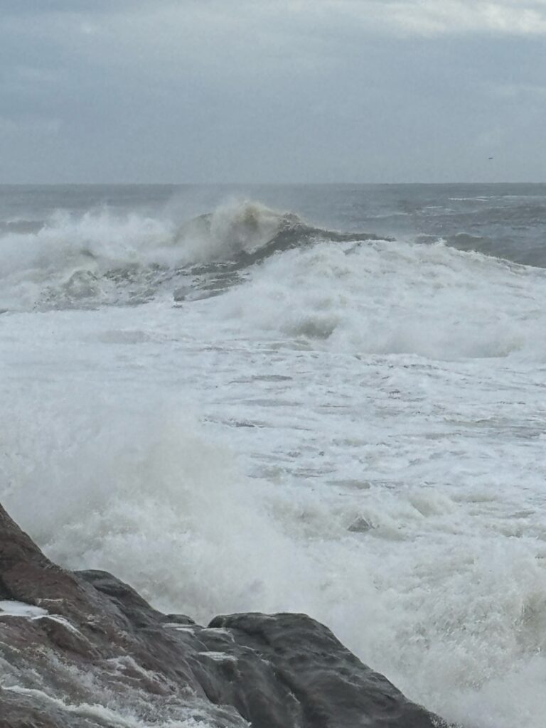 waves crashing on rocks (MyCoast AI)