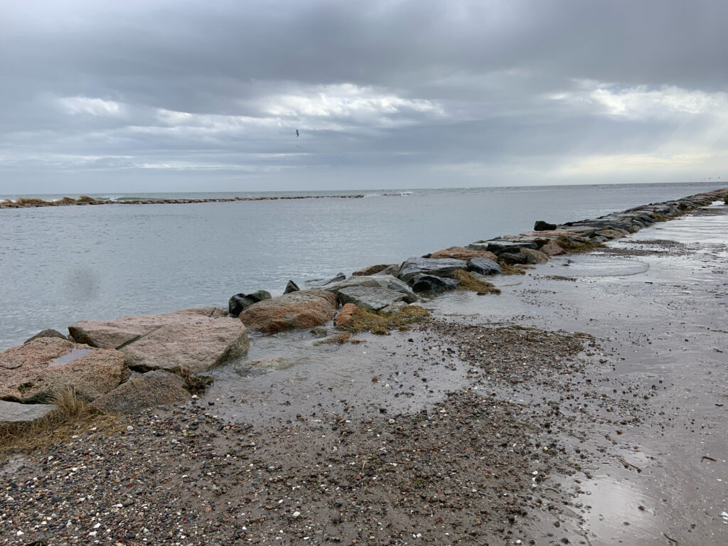 a rocky beach with a body of water in the background (MyCoast AI)