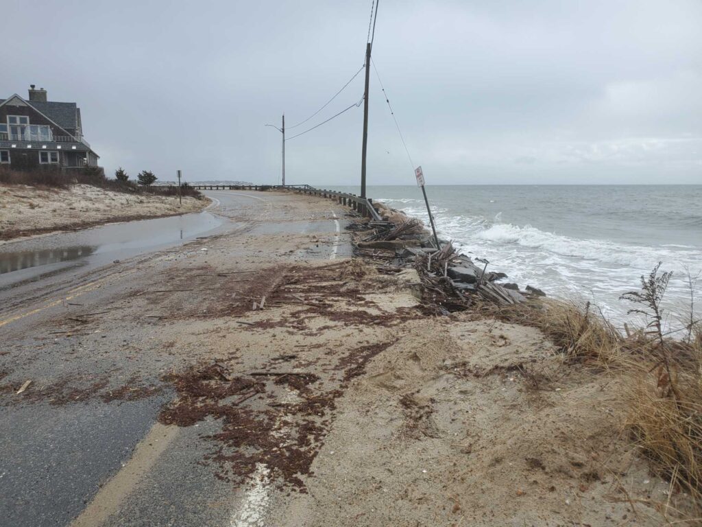 a beach with a row of poles (MyCoast AI)