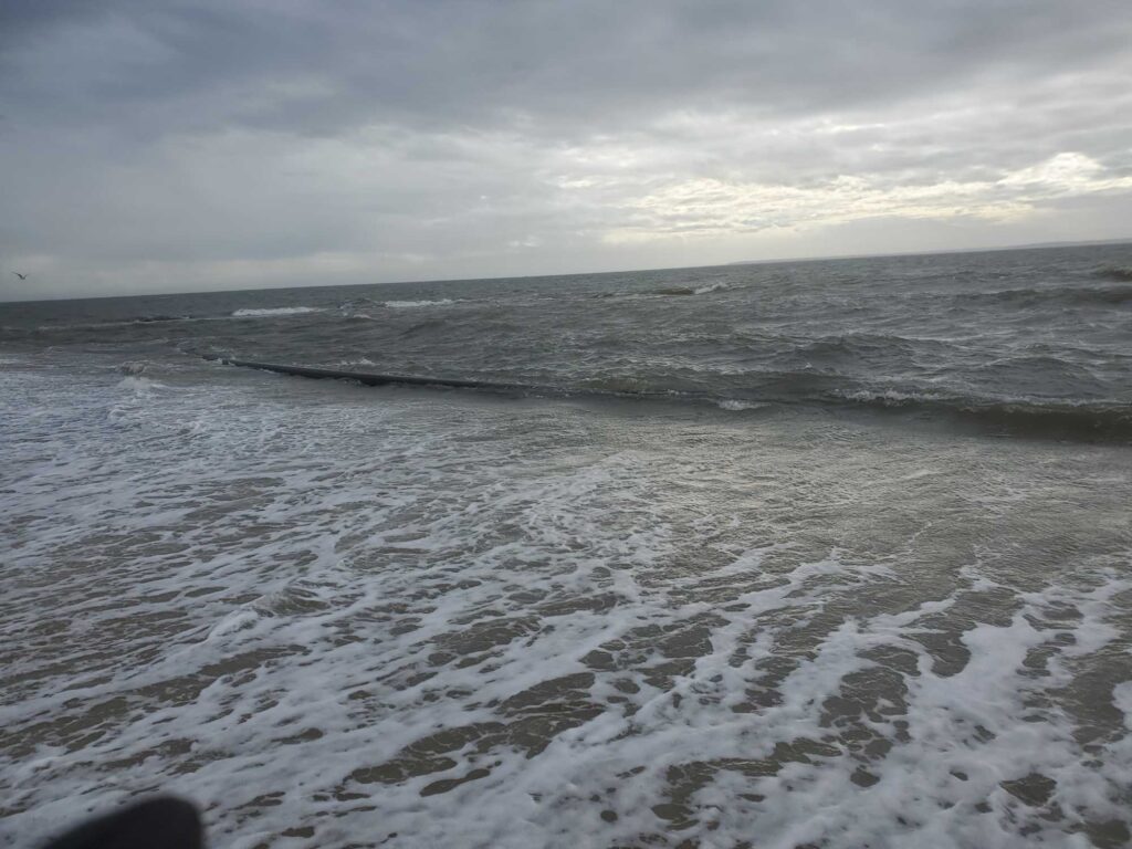 waves on a beach (MyCoast AI)