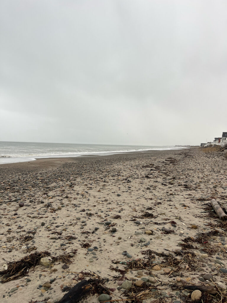a rocky beach with waves crashing (MyCoast AI)