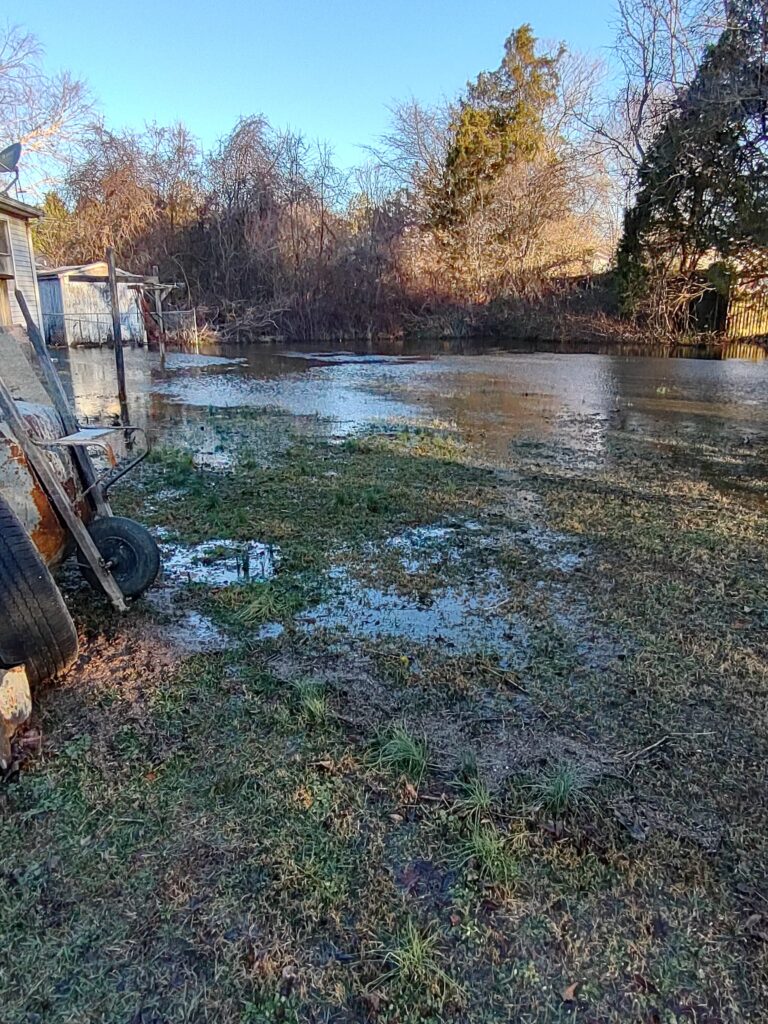 a small pond with a dock (MyCoast AI)