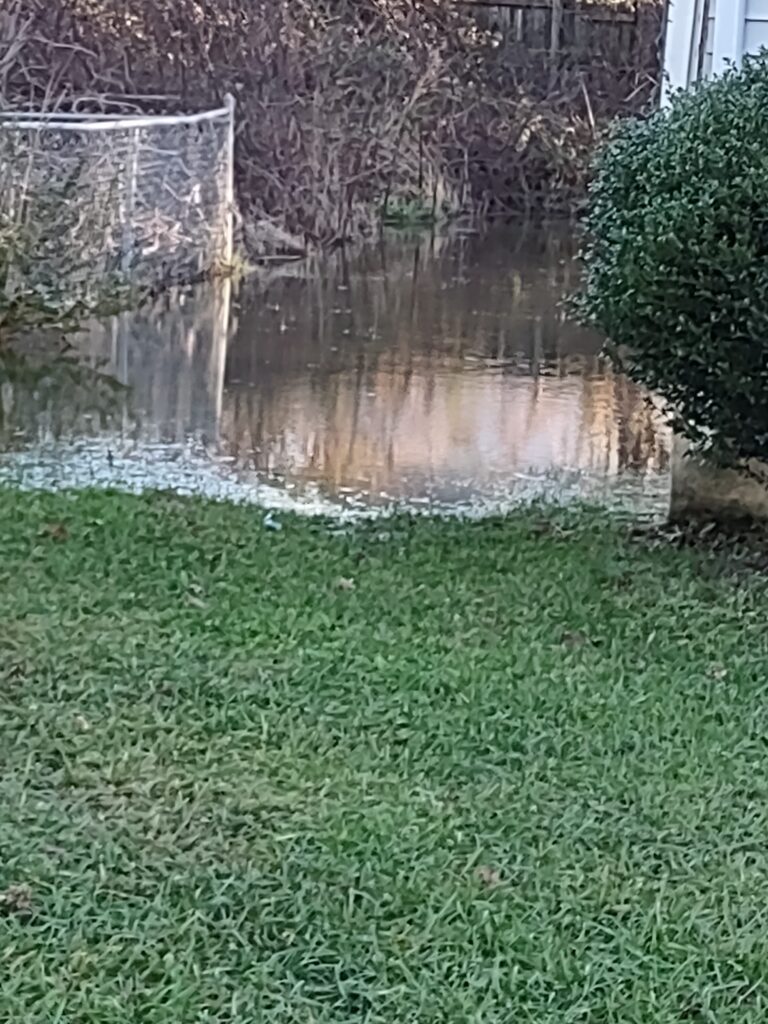 a pond with grass and trees around it (MyCoast AI)