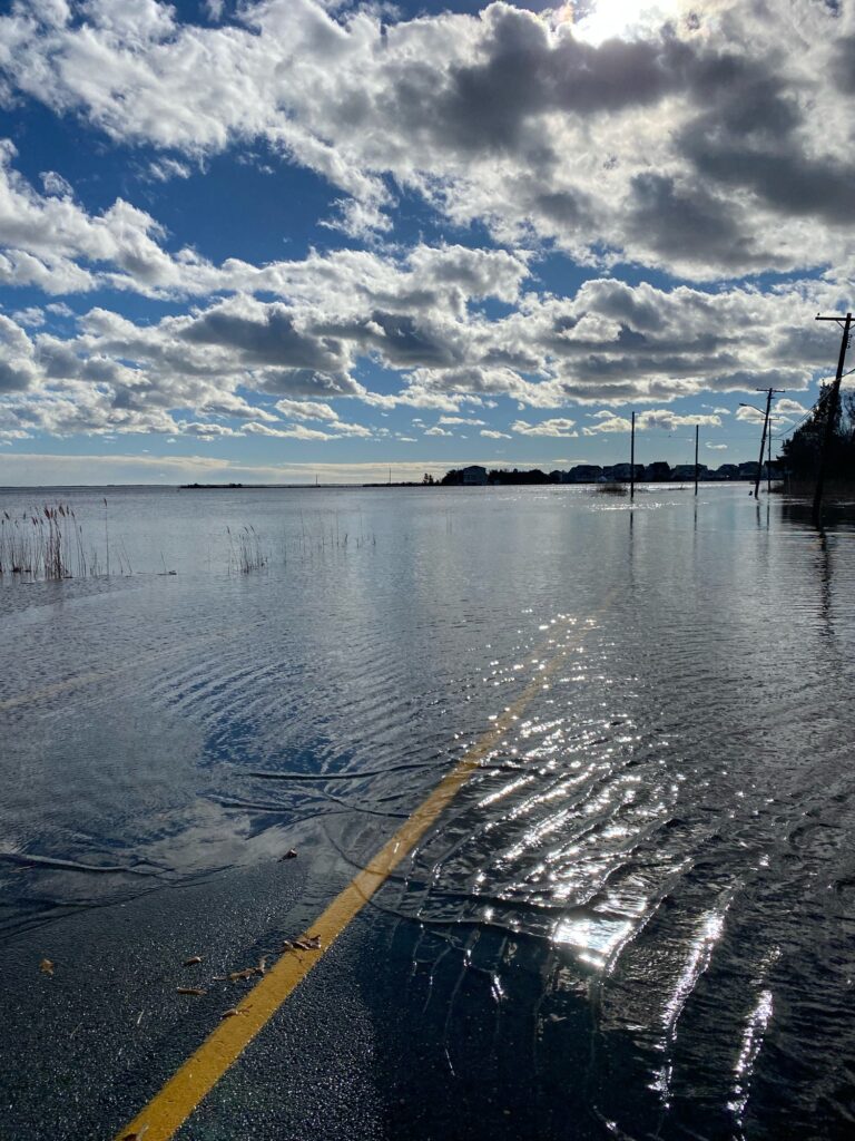a road next to a body of water (MyCoast AI)