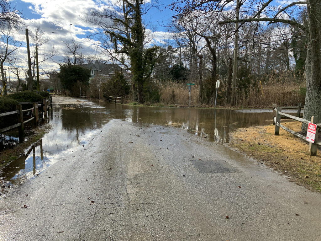 a flooded road with trees on either side of it (MyCoast AI)