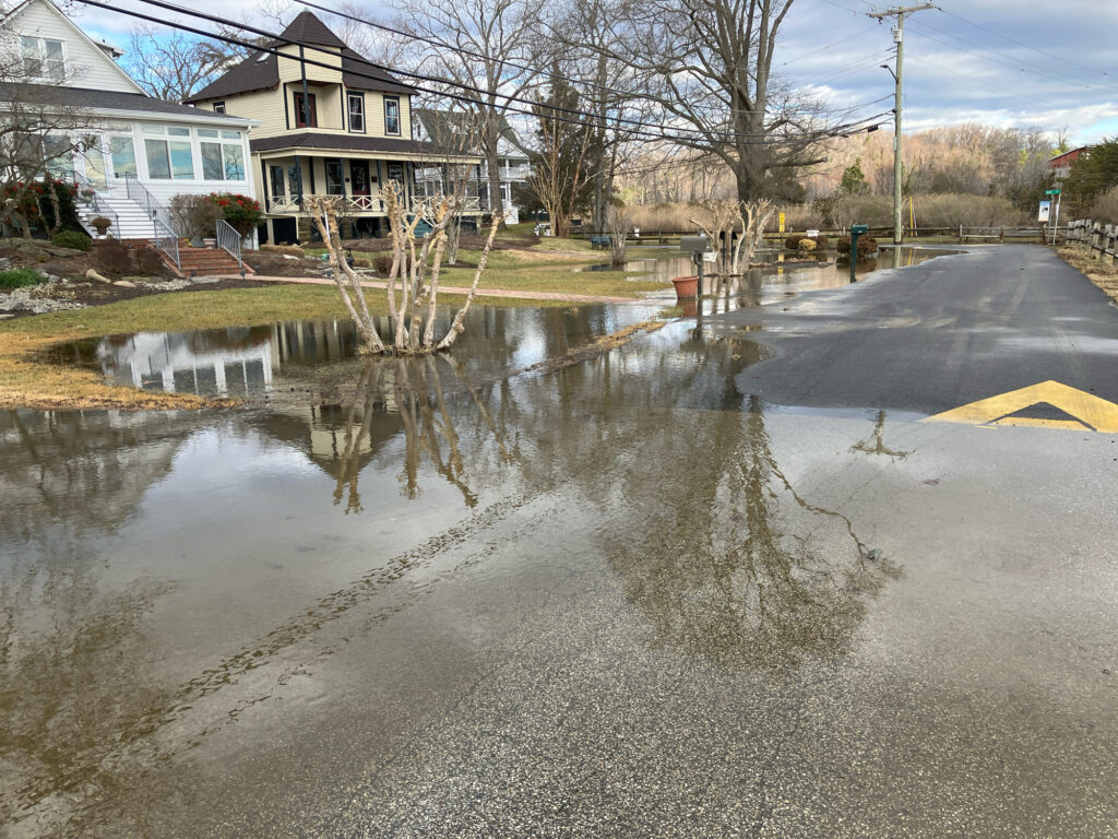 a flooded street with houses and trees (MyCoast AI)