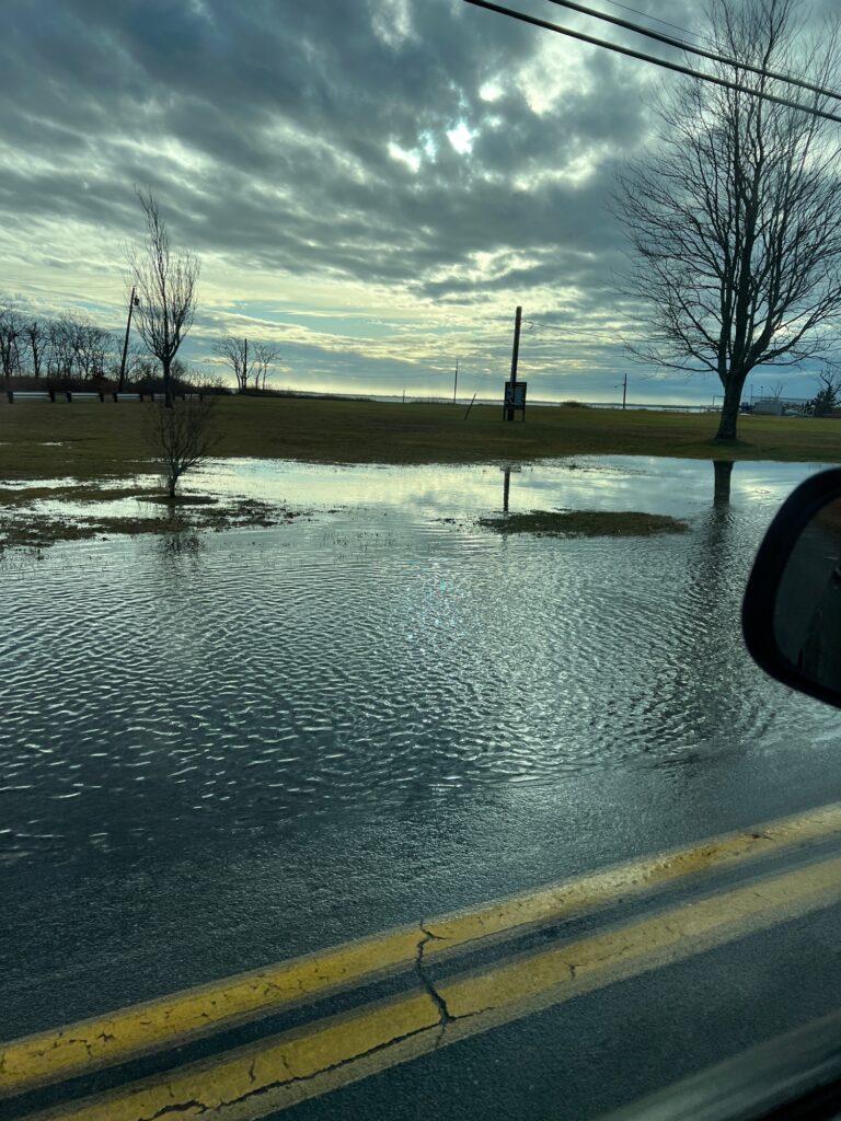 a flooded road with trees and a road (MyCoast AI)