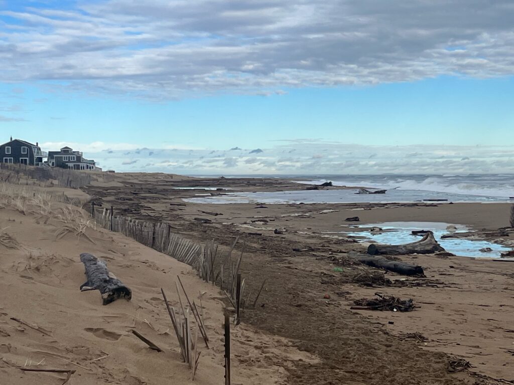 a beach with a fence and a body of water (MyCoast AI)