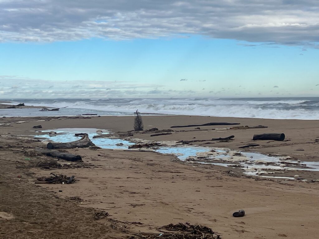 a beach with rocks and water (MyCoast AI)
