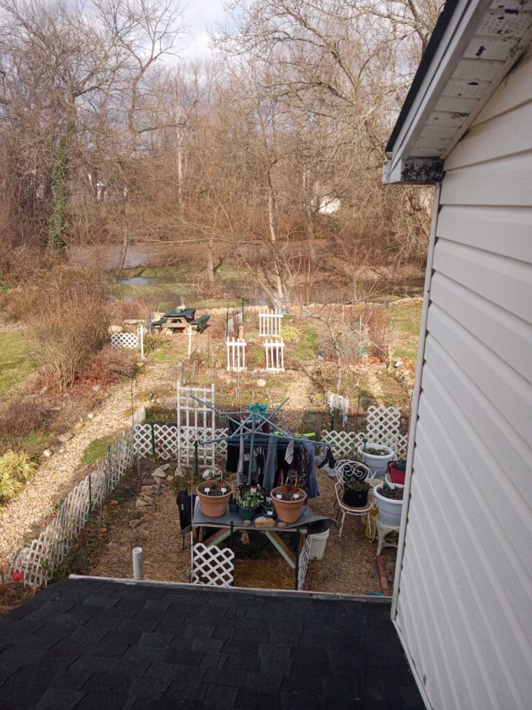 a patio with a table and chairs and a house with trees in the background (MyCoast AI)