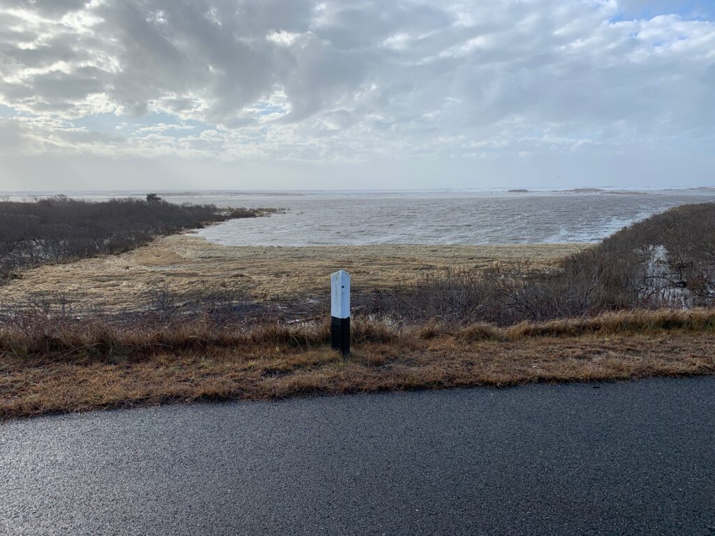a road next to a body of water (MyCoast AI)