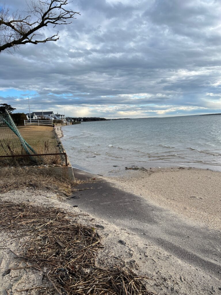 a beach with a body of water (MyCoast AI)