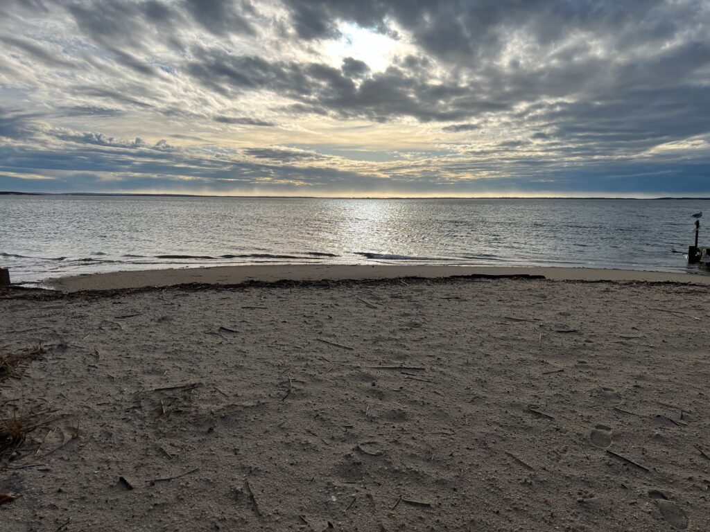 a beach with a cloudy sky (MyCoast AI)