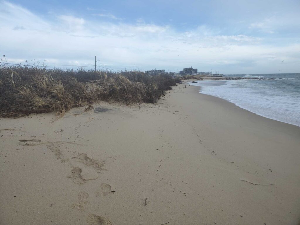 a sandy beach with tall grass and a body of water in the background (MyCoast AI)