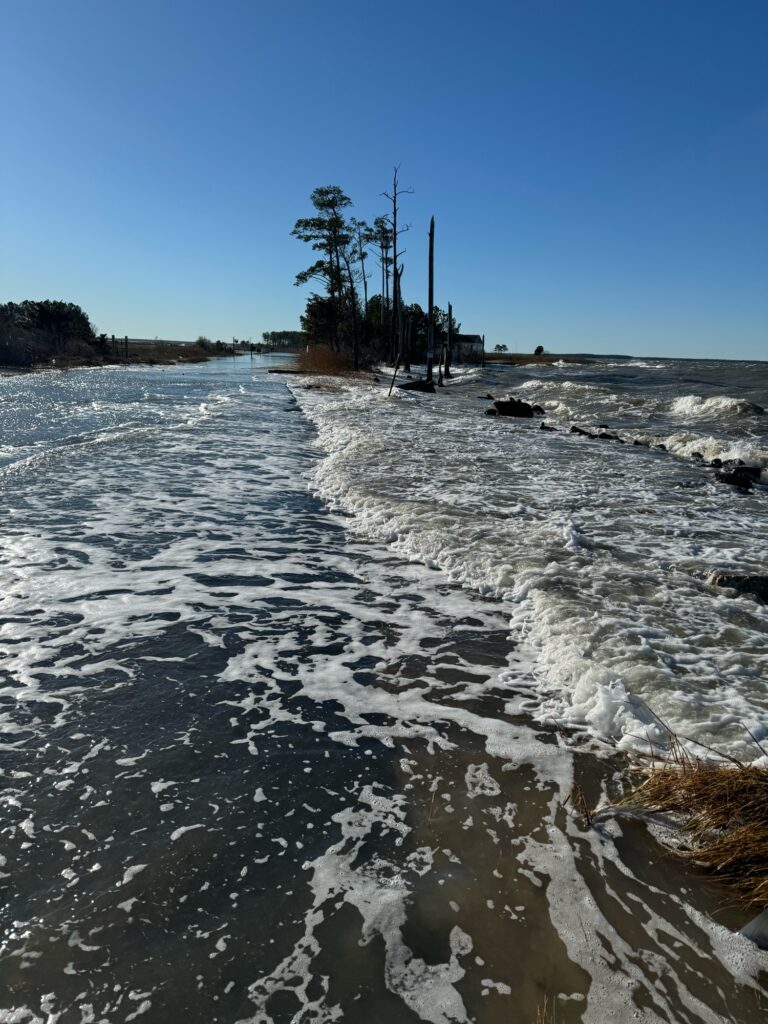 a river with ice and trees (MyCoast AI)