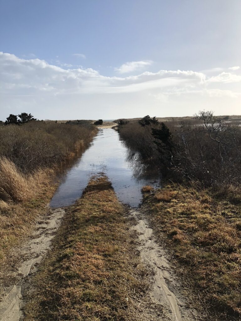 a river with a dirt path (MyCoast AI)