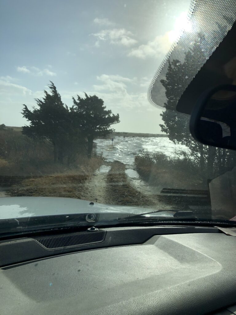 a car driving on a road (MyCoast AI)