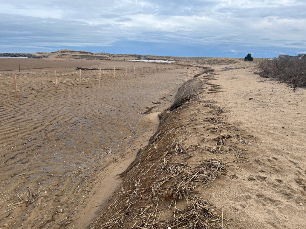a large dirt road (MyCoast AI)