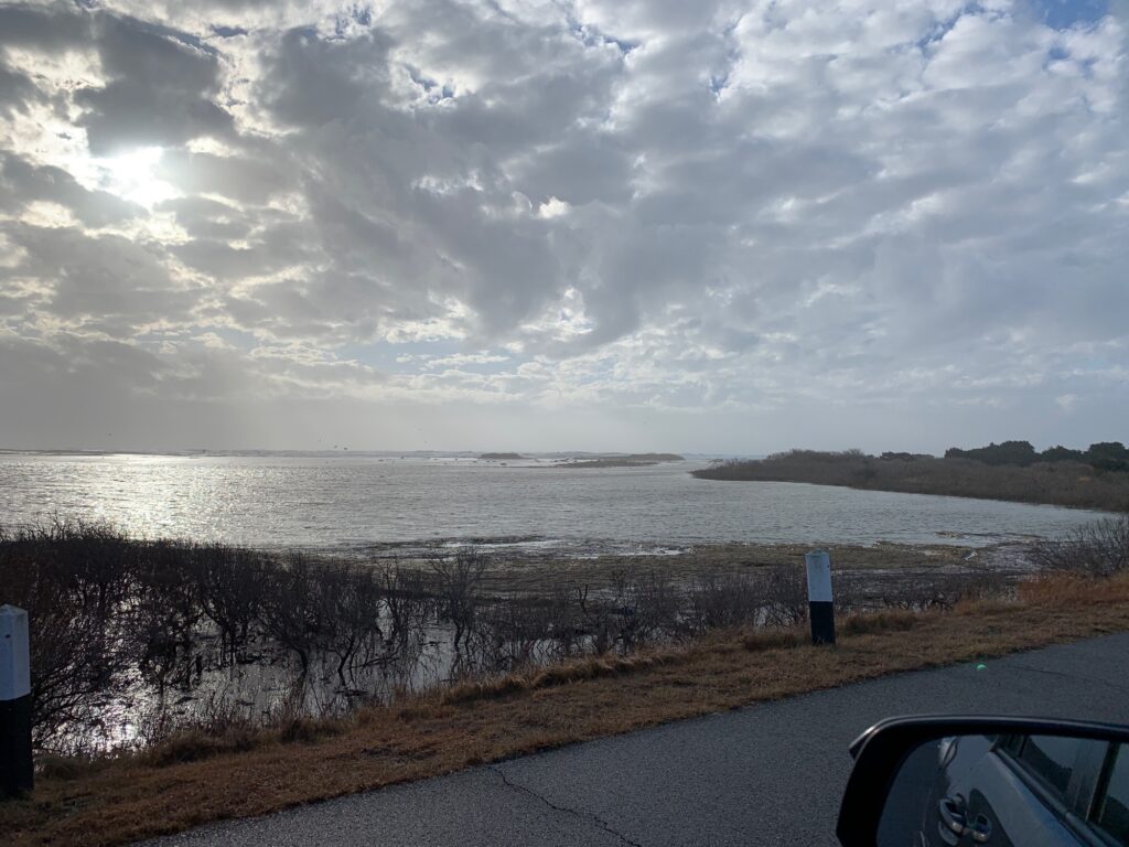 a road next to a body of water (MyCoast AI)