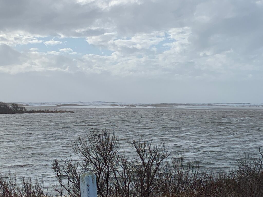 a body of water with trees and snow on the side (MyCoast AI)
