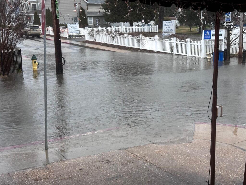 a flooded street with a fire hydrant (MyCoast AI)