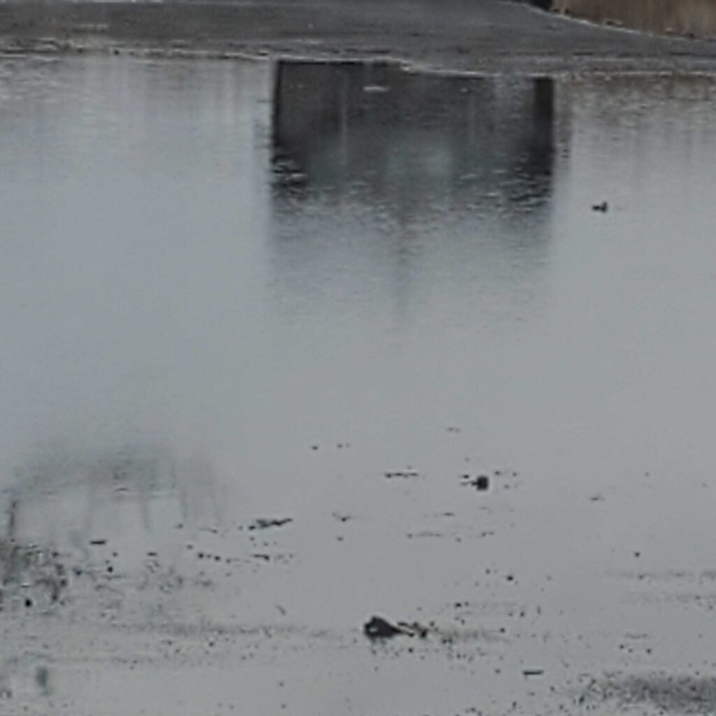 a reflection of a bridge in a body of water (MyCoast AI)