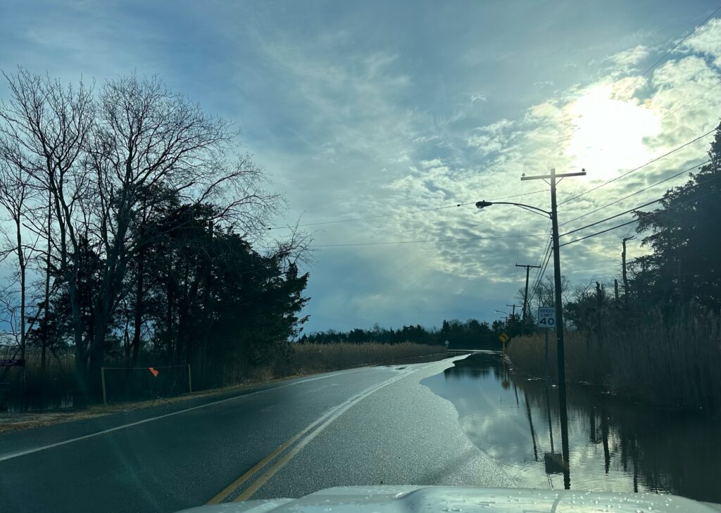 a road with a puddle on the side and trees on the side (MyCoast AI)