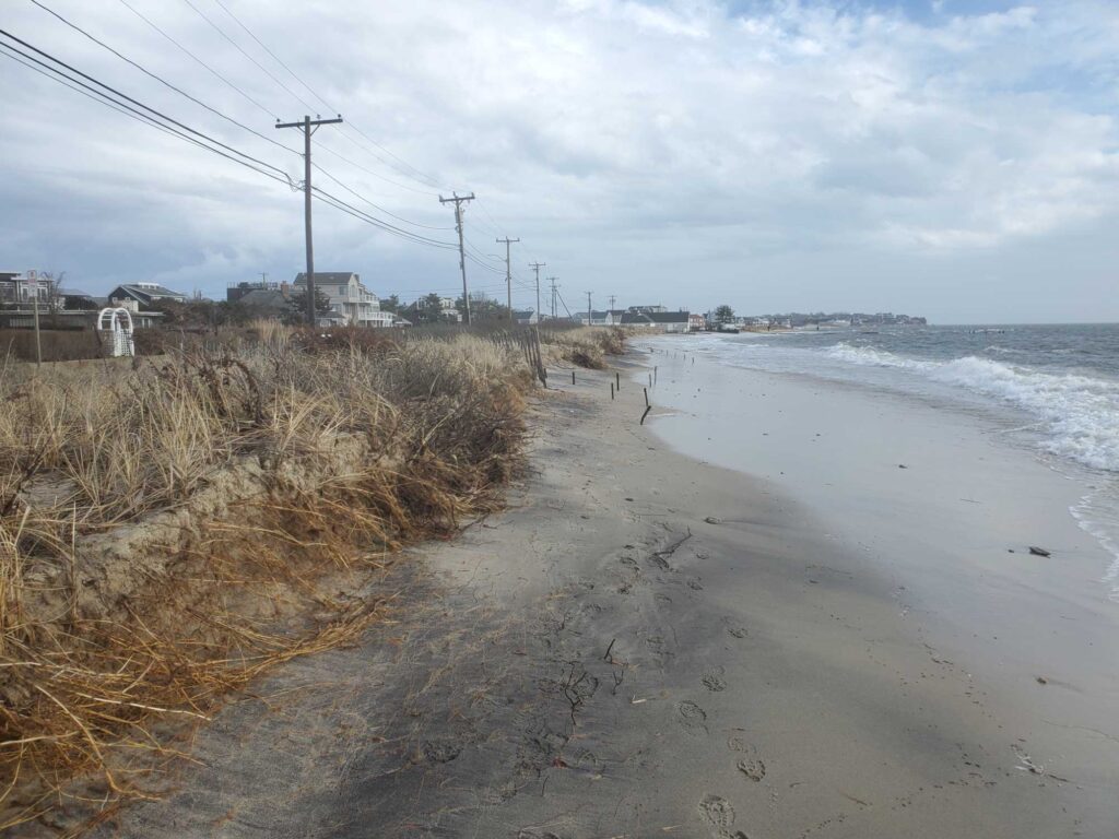 a beach with grass and water (MyCoast AI)