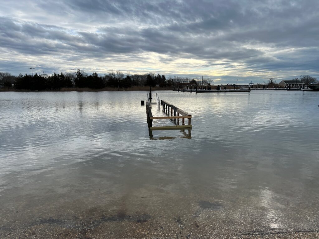 a dock in a lake (MyCoast AI)