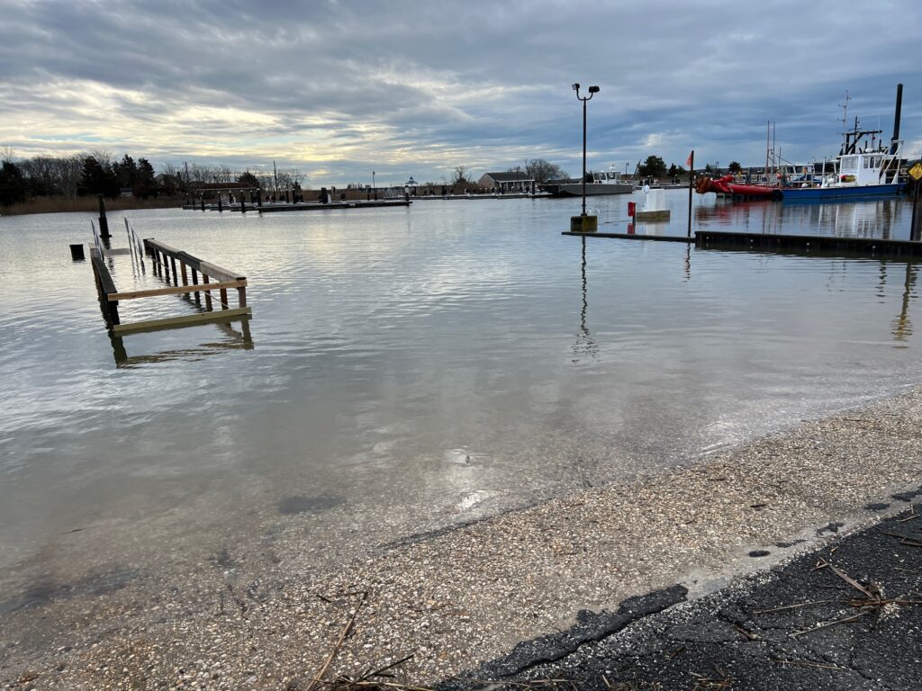 a bench in a flooded area (MyCoast AI)