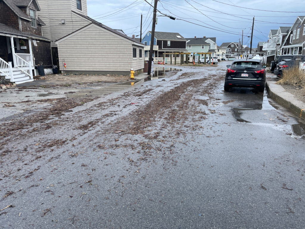 a car parked on a street (MyCoast AI)