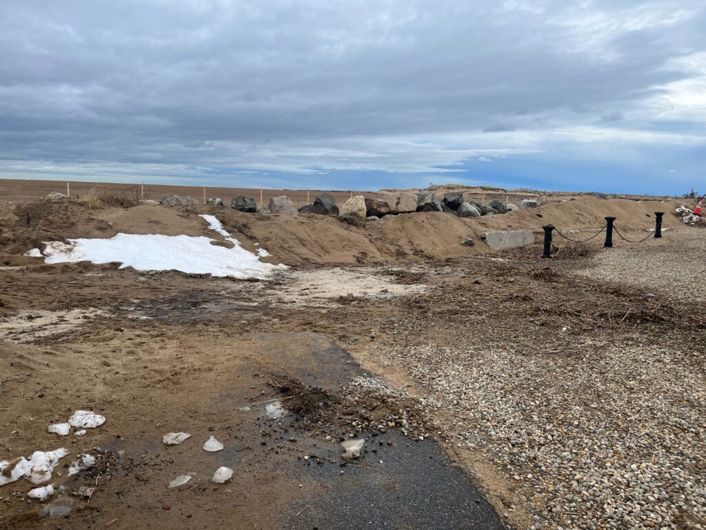 people standing on a rocky beach (MyCoast AI)