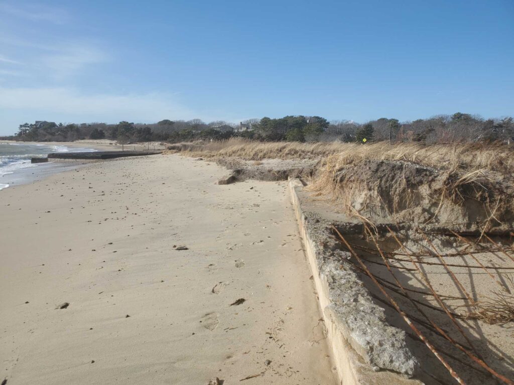 a sandy beach with water and trees (MyCoast AI)