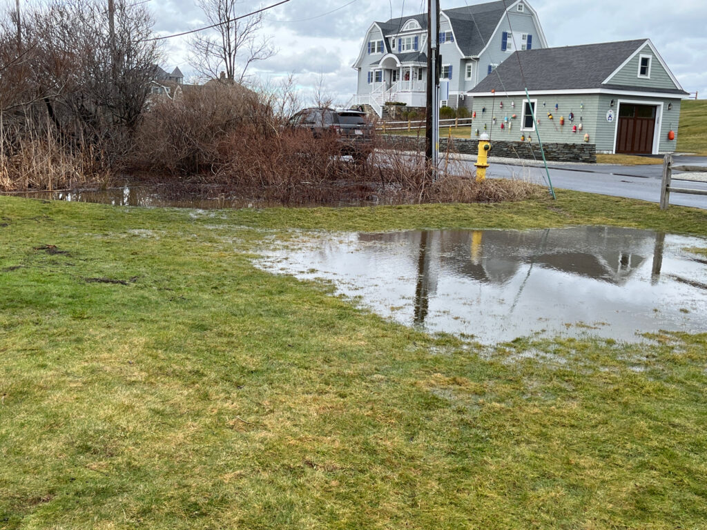 a pond in a yard (MyCoast AI)