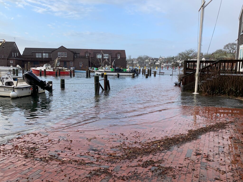boats in a harbor (MyCoast AI)