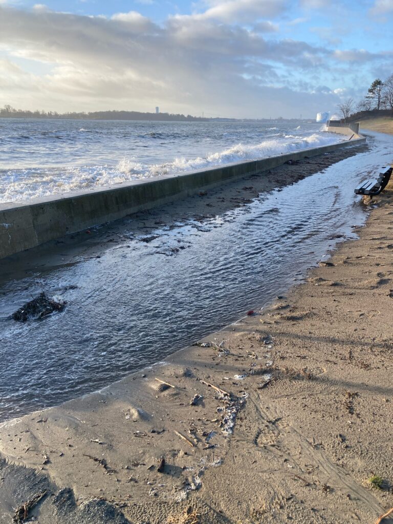 a beach with rocks and water (MyCoast AI)