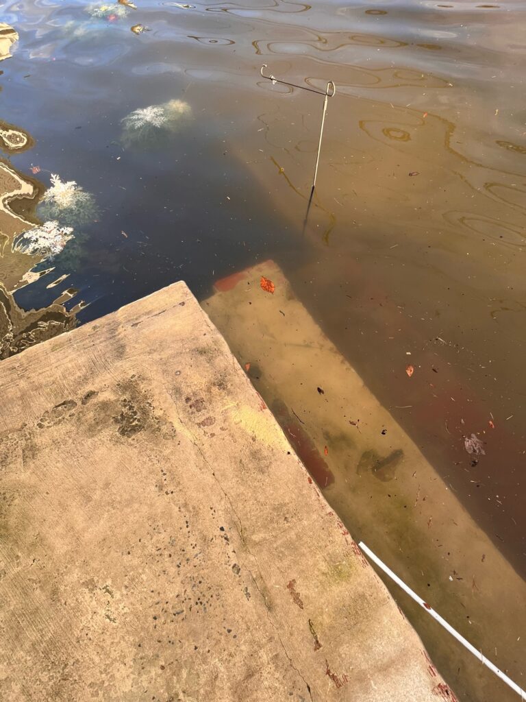 a pole in the water (MyCoast AI)