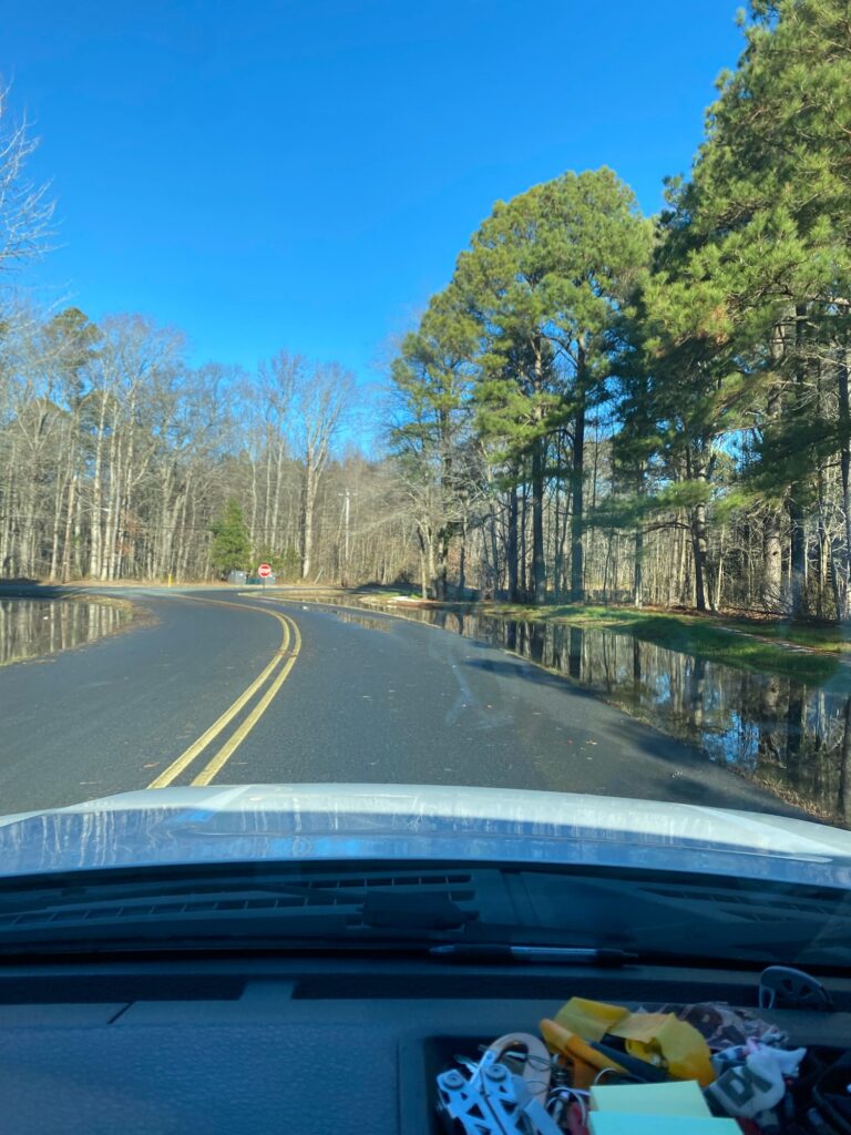a road with trees on the side (MyCoast AI)