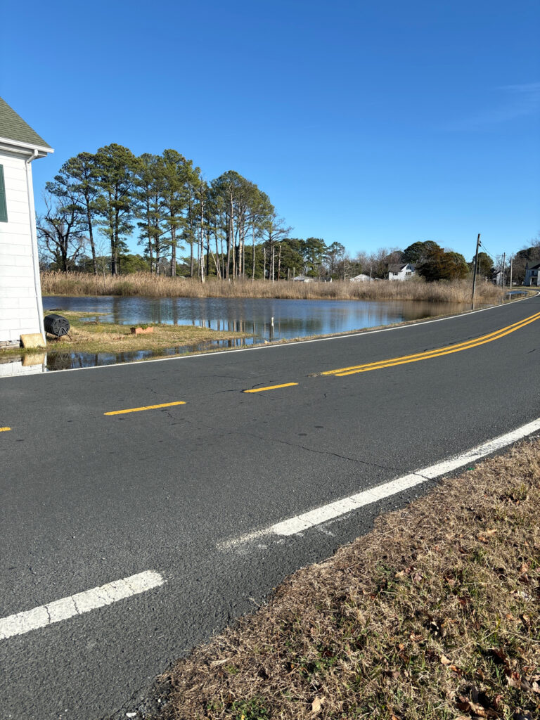 a road next to a body of water (MyCoast AI)