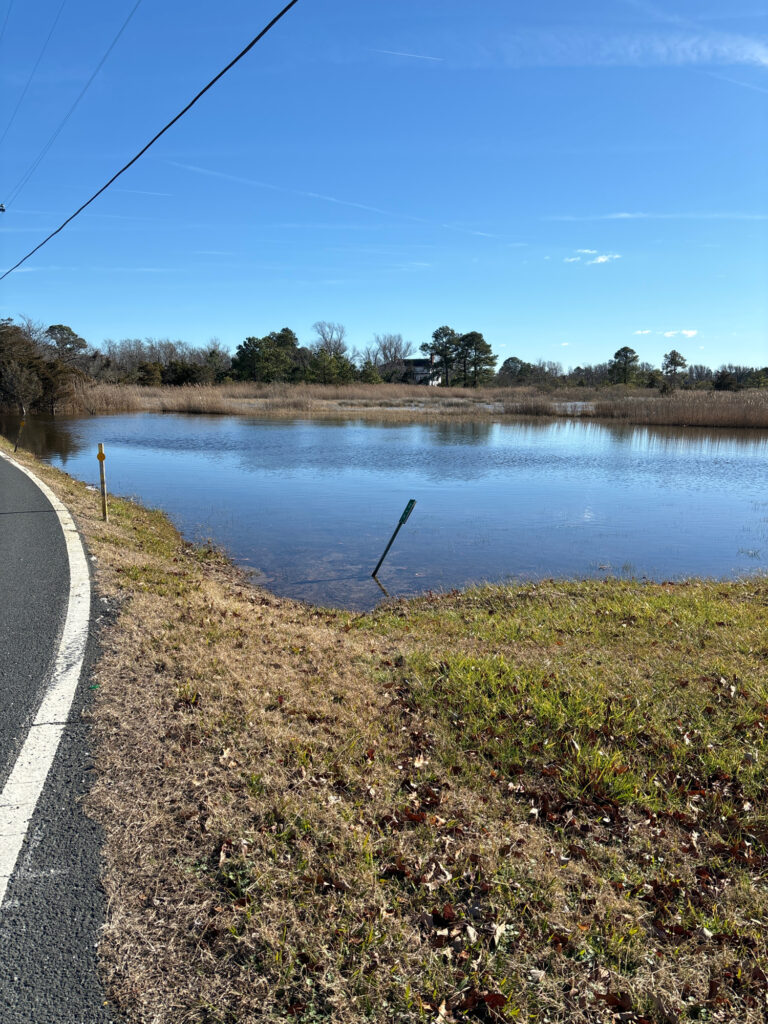 a road next to a body of water (MyCoast AI)