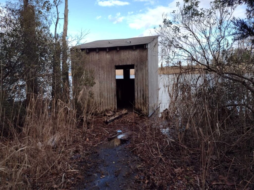 a small building in the woods (MyCoast AI)