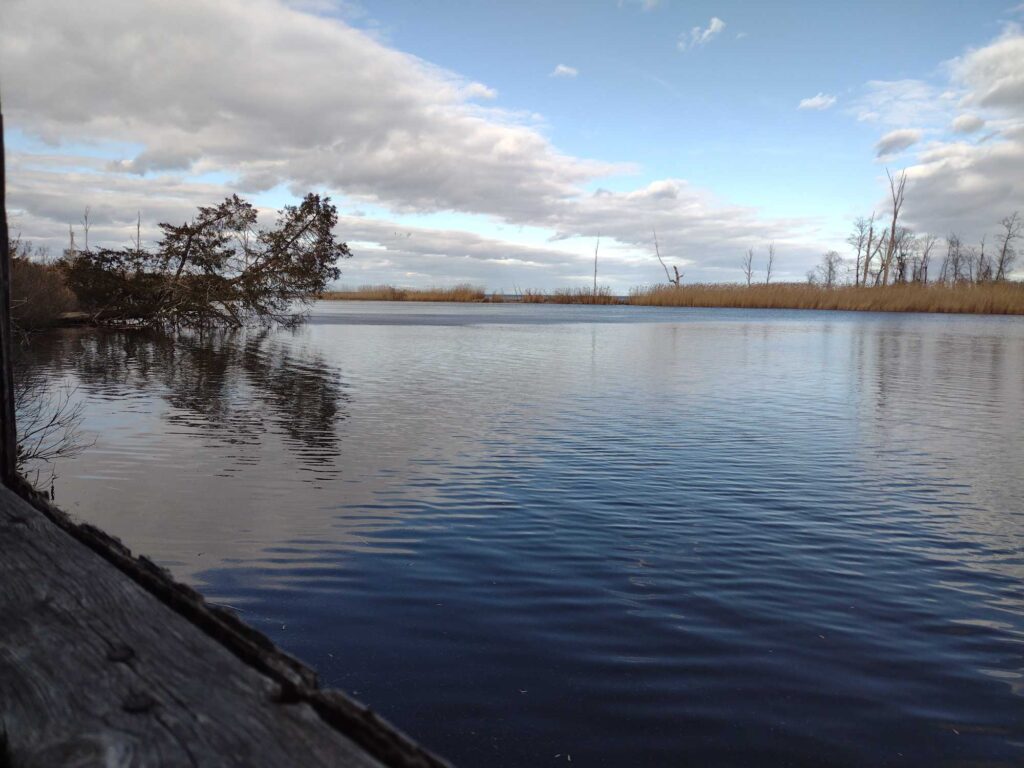 a body of water with trees and a dock (MyCoast AI)