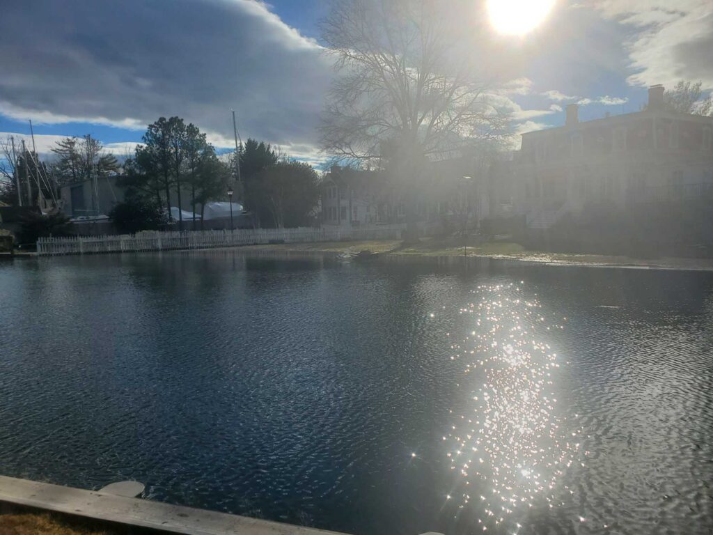 a body of water with trees and buildings around it (MyCoast AI)