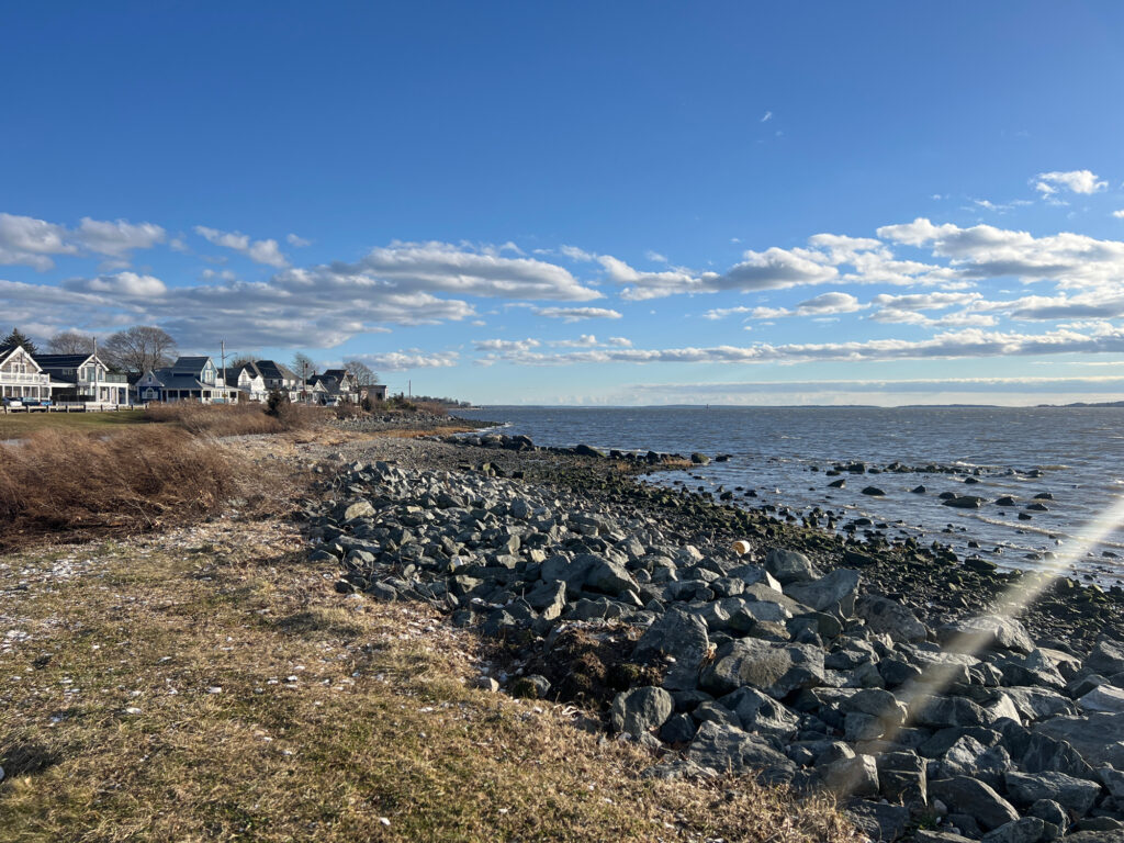 a rocky beach with houses in the background (MyCoast AI)